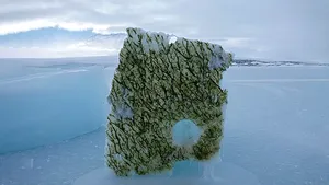 Dispariția gheții marine schimbă culoarea oceanelor din regiunile arctice și antarctice