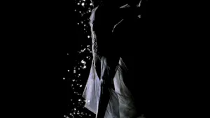 Vezi aici scurtmetrajul tribut dedicat lui Alexander McQueen, pe muzica lui Bjork - VIDEO