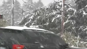 Ninsoare şi viscol în SUA: Trei oameni au murit, două milioane de locuinţe au rămas fără energie - VIDEO