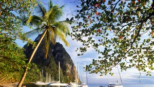 Târg de turism la Romexpo, în perioada 12-15 martie. Ce reduceri oferă operatorii din industrie