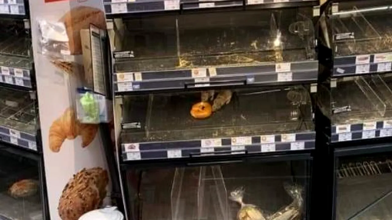 Şobolani într-un Mega Image din Sectorul 1. Consilier PNL: Până unde acceptăm să ne ducă în mizerie?