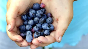 Dieta cu fructe şi legume purpurii - cea mai în vogă tendinţă în curele de slăbire