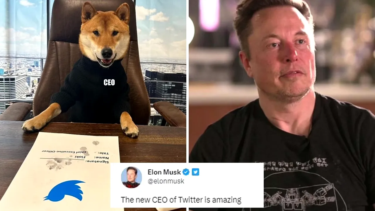 Elon Musk anunţă că se retrage din funcţia de directorul companiei Twitter 