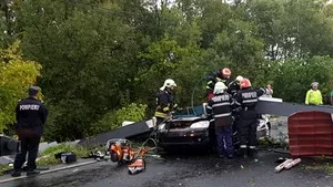 Nicolae Robu, primarul Timişoarei, audiat în dosarul porţii care s-a prăbuşit în timpul unei furtuni şi a ucis un tânăr