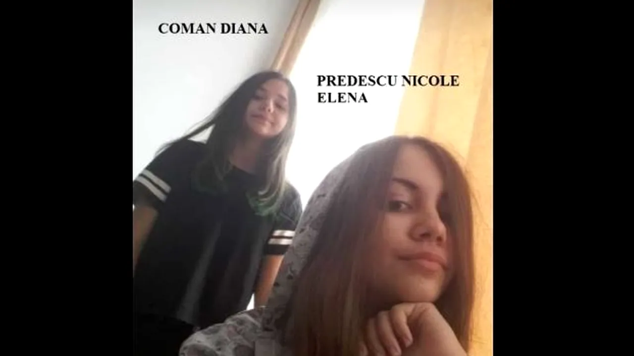 Două fete din Vâlcea, colege de şcoală, sunt căutate de poliţişti după ce au dispărut 