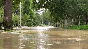 Ploaie puternică la Piteşti: Două persoane salvate de pompieri, mai multe case şi străzi inundate