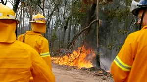 Aproape 30 de morţi în Australia, din cauza unui val de căldură (Video)