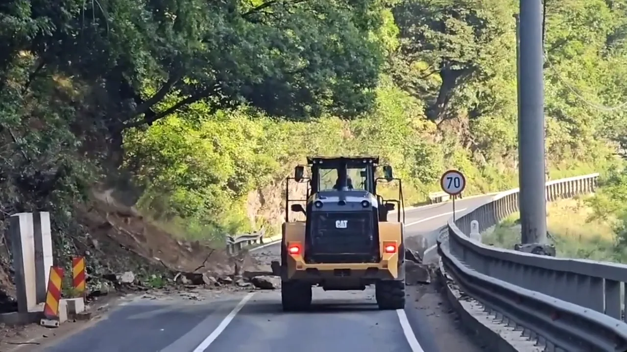 Valea Oltului, situaţia la zi. Lucrările de defrişare au depăşit 23% din suprafaţa aflată lângă şosea