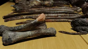 O nouă specie de dinozaur, descoperită în Africa de Sud