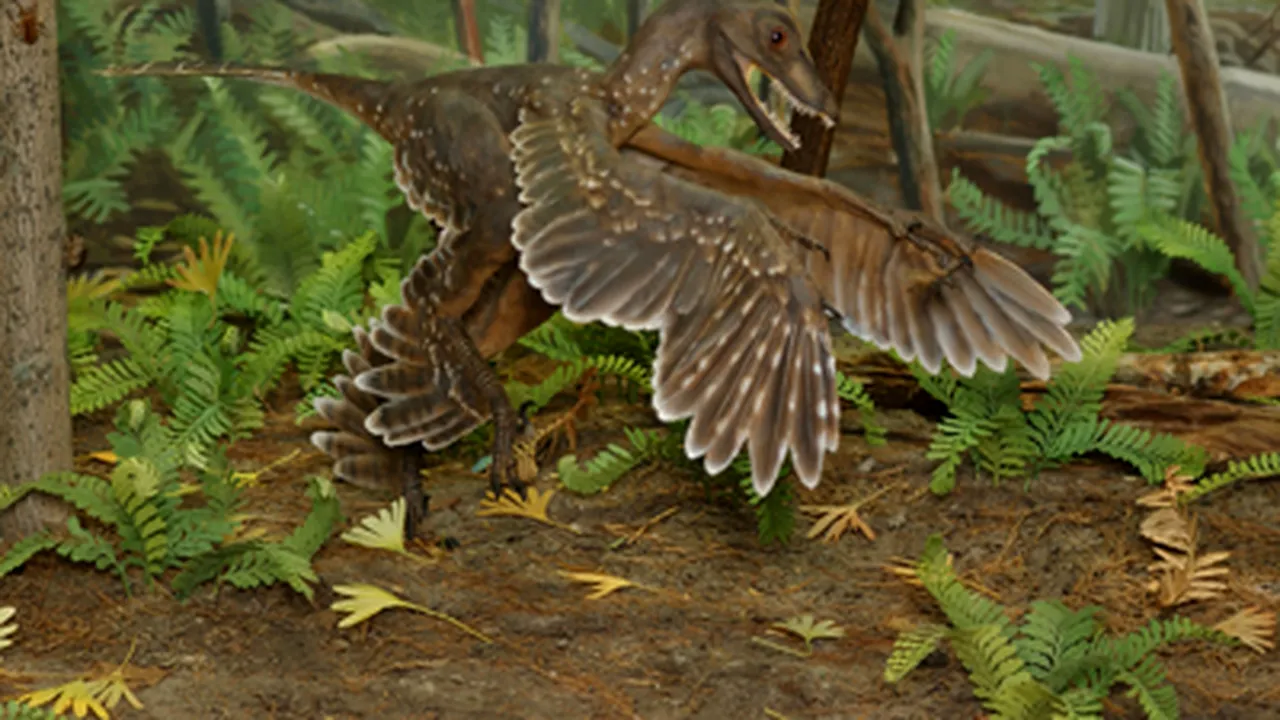 Un cuib de dinozauri descoperit în SUA oferă informaţii despre evoluţia păsărilor