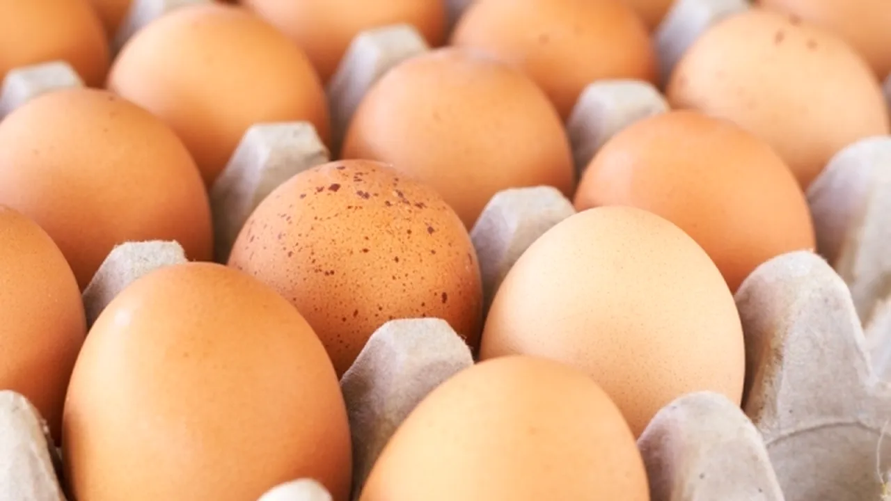 Ministerul Agriculturii vrea să restricţioneze importurile de ouă şi carne de pasăre din Ucraina