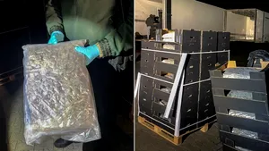 Trei români, arestaţi după ce au condus camioane cu piersici şi pepeni, între care erau ascunse droguri