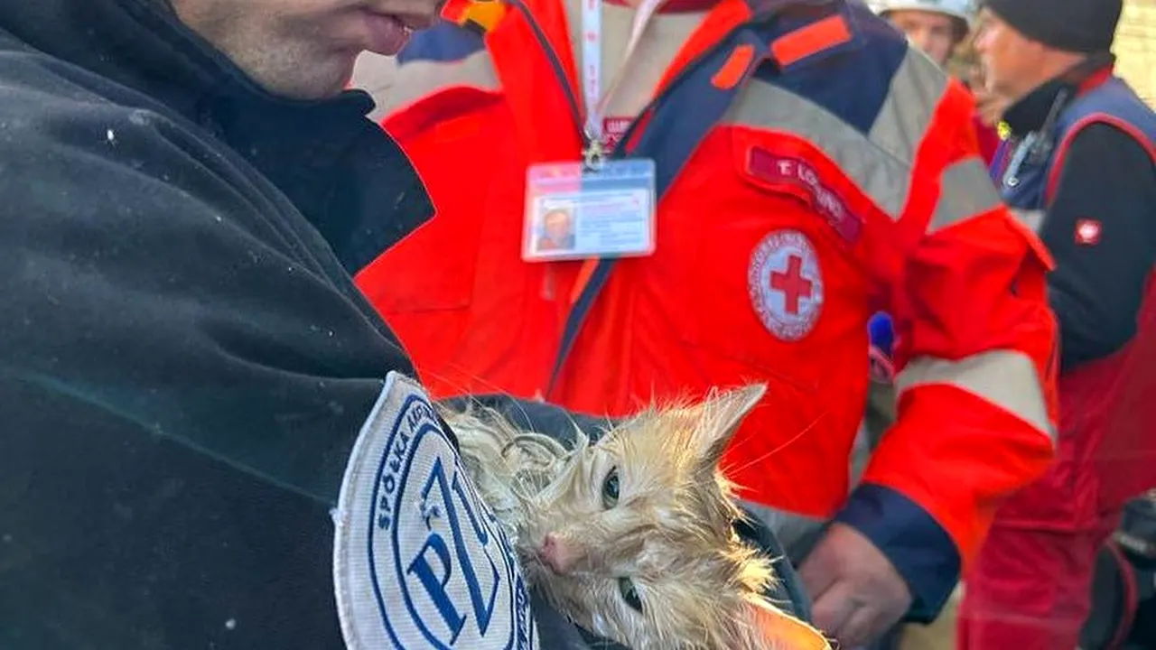LIVE TEXT  Războiul din Ucraina, ziua 236. Mai multe explozii în centrul Kievului, atacat cu drone kamikaze: cel puţin trei morţi şi mai mulţi răniţi / Schimb masiv de prizonieri / Elon Musk sperie lumea: Rusia poate folosi forţa nucleară / S-a prăbuşit un avion Su-34 rusesc / Iran este noul rival comun al aliaţilor
