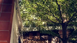 Schimbările climatice schimbă piața imobiliară. Zonele mai răcoroase devin tot mai scumpe