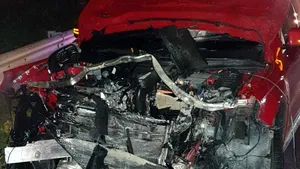 Urs lovit mortal de 4 maşini pe autostrada Sibiu-Deva. Doi copii au suferit atacuri de panică şi au avut nevoie de îngrijiri medicale | FOTO