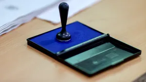 COMENTARIU Lelia Munteanu: Imaculata votaţiune