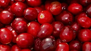 STUDIU: Fructele de merişor contribuie la combaterea cancerului de colon