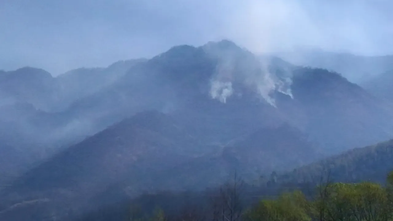 GALERIE FOTO Zeci de pompieri şi un elicopter de la Aviaţie, se luptă de 24 de ore să stingă INCENDIUL din Apuseni