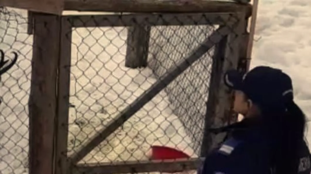 Un animal rar, protejat de lege, a fost descoperit într-o gospodărie din judeţul Argeş | VIDEO