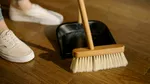 Cocktail toxic. Aproape 200 de pesticide descoperite în praful din locuințele europene