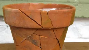 Cum şi-a răsplătit vinovăţia un băieţel care a spart un ghiveci. „Avem speranţă pentru un viitor mai bun”