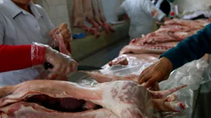 FOCUS: Carnea de miel, mai scumpă în acest an, din cauza creşterii preţurilor la furaje