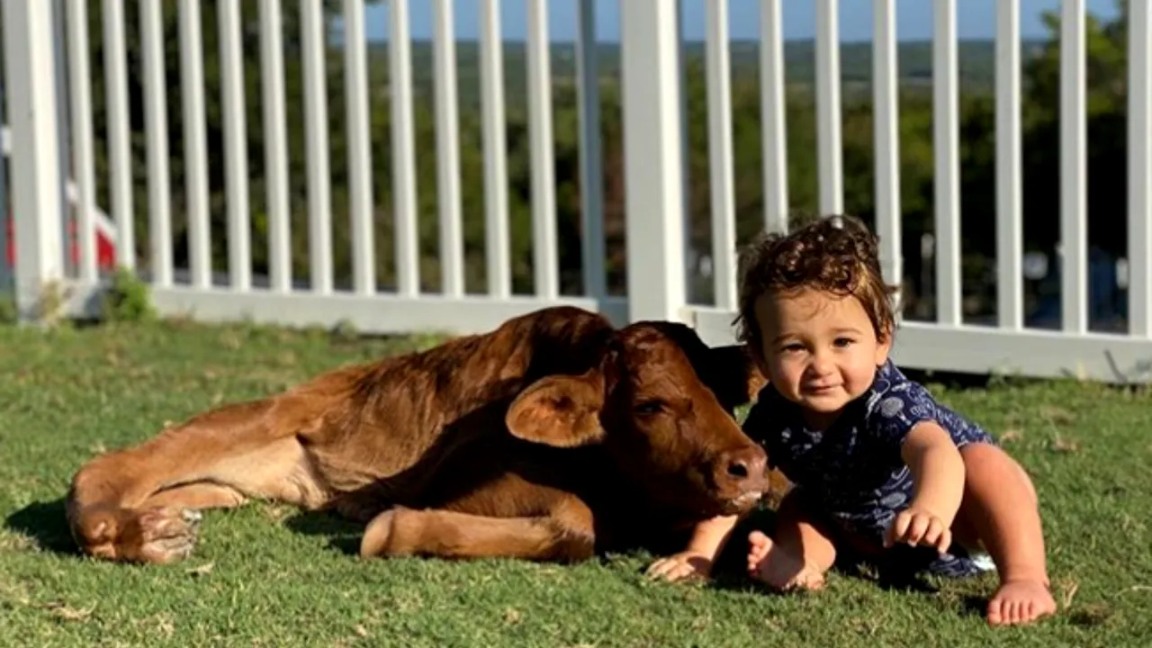 FOTO&VIDEO Dragostea pentru animale, balsam pentru minte şi suflet. Copiii cu dizabilităţi au ocazia să întâlnească animale cu aceeaşi condiţie