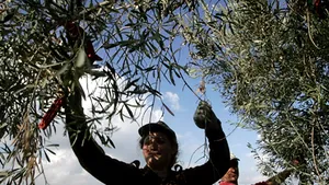 Romanian, Bulgarian Workers Remain Europe’s Personae Non Grata – Paper