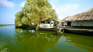 Udrea: Nu ne bazăm pe litoral pentru piaţa externă, ci pe turism cultural, balnear şi Delta Dunării