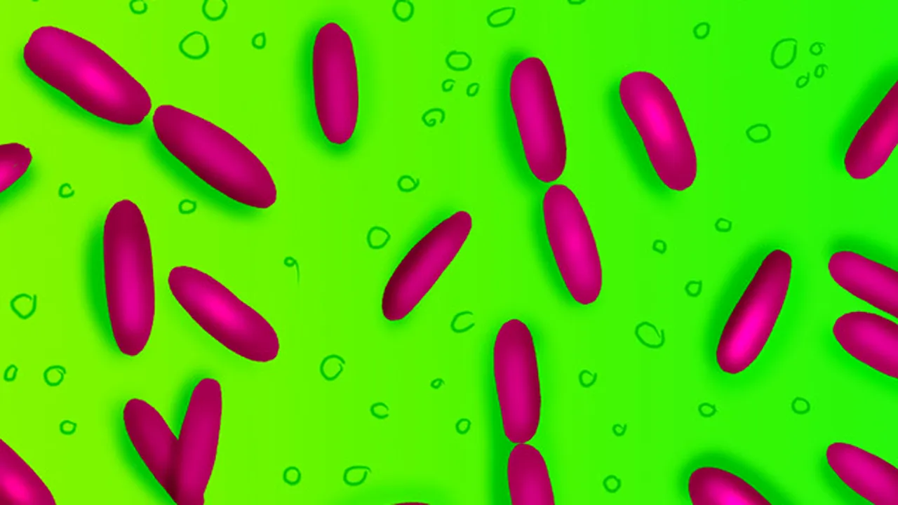 Locul de pe corpul uman care ascunde 2.000 de bacterii periculoase: 