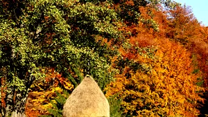 Vremea va fi în general frumoasă. Maximele ajung şi la 25 de grade Celsius. PROGNOZA METEO pentru sfârşitul săptămânii