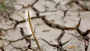 Vremea extremă pune stâpânire pe Europa: de la inundaţii, la temperaturi record: Cod ROŞU de caniculă în nouă ţări