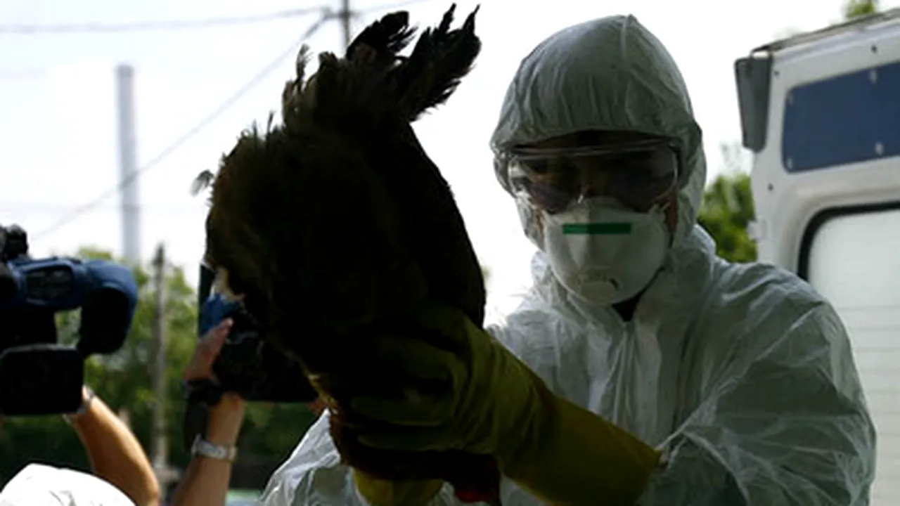 Bird Flu Suspicion In Household In SE Romania