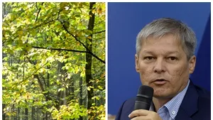 Premierul Dacian Cioloş despre tăierile ilegale de masă lemnoasă: 55.000 de controale, 1.000 de dosare penale şi 60.000 de amenzi