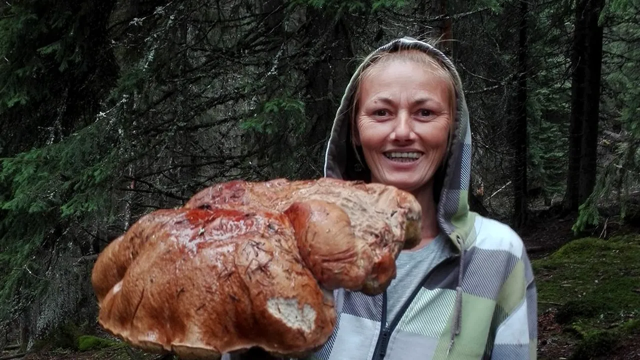 FOTO | Ciupercă gigant, de cinci kilograme, găsită pe Transalpina