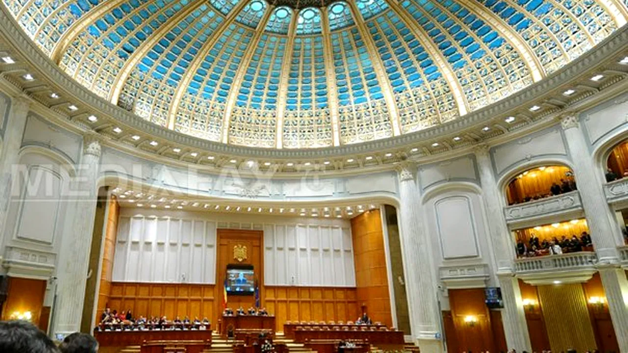 Zăpada de pe acoperişul Senatului s-a topit, plouă în foaierul sălii de plen