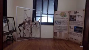 Muzeul de Istorie Naturală din Sibiu expune piese la Muzeul Institutului de Geologie din Mexic