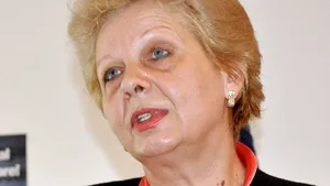 Pană: Va trebui să modificăm toată Legea dialogului social. Dacă o păstrăm, patronatele 