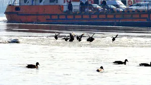 New Romania - Bulgaria Ferry Line To Be Launched In Oct - Press