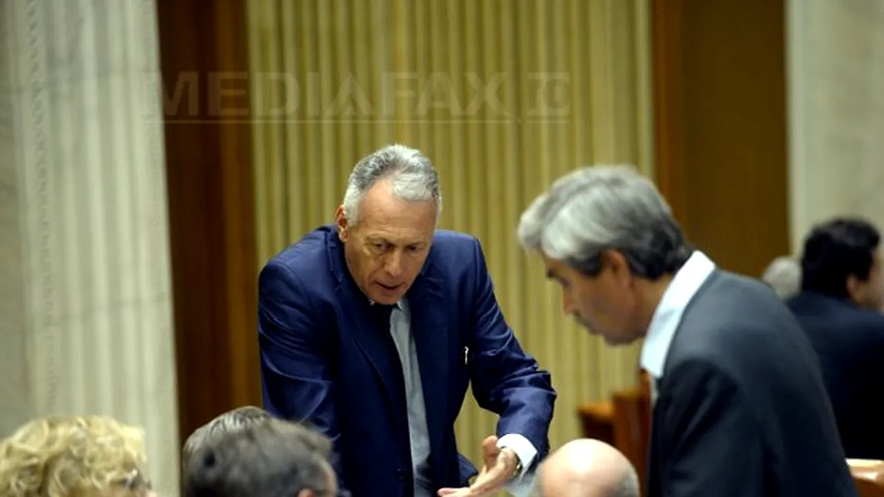 Neacşu (PSD): În respingerea urmăririi penale a primat valoarea emotivă a discursului lui Borbely
