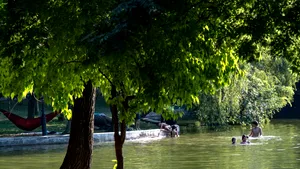 Alertă de caniculă. Ministerul Sănătății anunță măsuri speciale și recomandări pentru populație