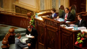 Parlamentarii ar putea obţine acces la documentele privatizărilor