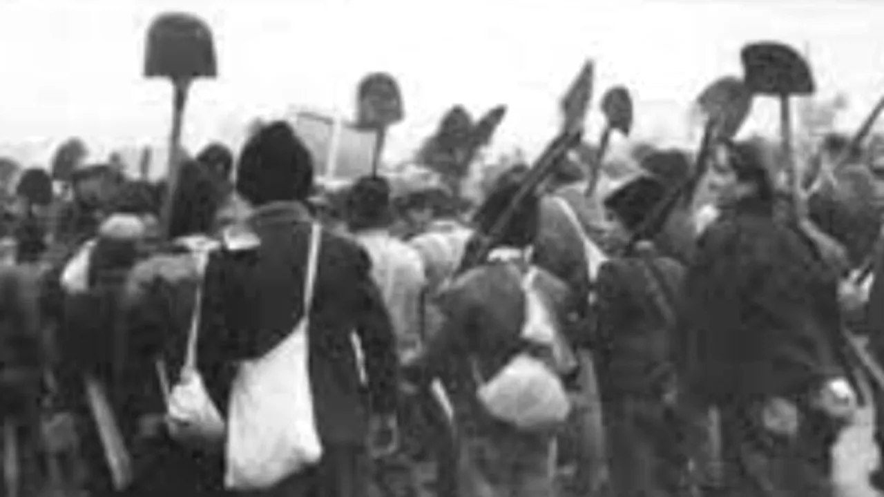 Colectivizarea forţată a României: deceniul infam în care ţăranii şi-au pierdut pământurile