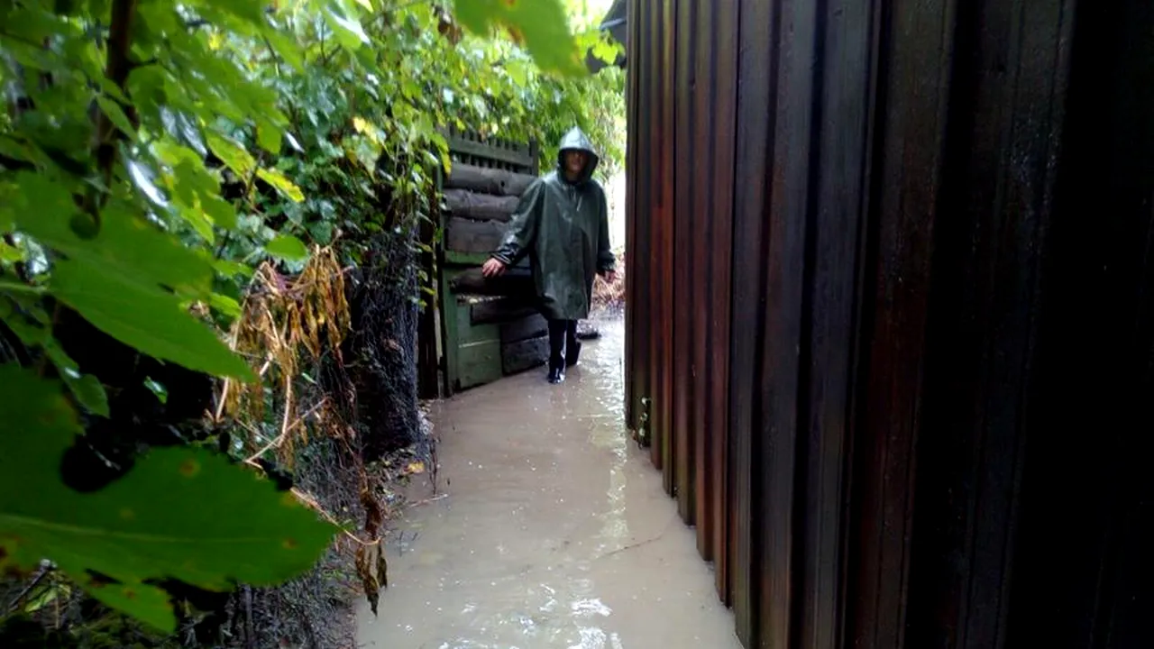 Ploile torenţiale fac ravagii în Timişoara. Curţi şi subsoluri inundate, o maşină blocată într-un pasaj. Pompierii intervin pentru evacuarea apei - FOTO