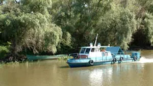 Daciana Sârbu îi solicită lui Băsescu să nu promulge modificările la Legea vânătorii