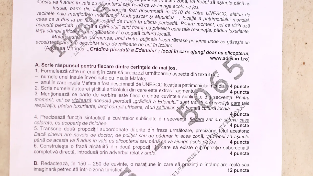 EVALUAREA NAŢIONALĂ 2016. Ministerul Educaţiei a făcut public baremul la proba de Limba şi Literatura Română - FOTO