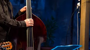 „Ne-au luat temperatura în fiecare zi.” Ce fac acum cei 25 de artişti care s-au întors din China