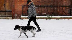 Cum va fi VREMEA până în luna martie. Prognoza meteo şi HARTA meteorologilor