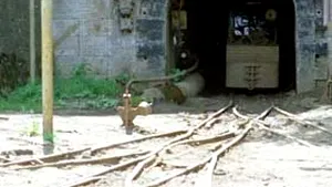 Directorul CNH: Explozia a avut loc la o adâncime de 950 de metri