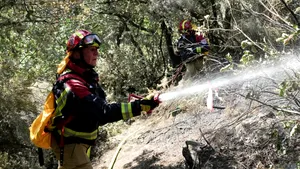 Incendiile de vegetație lasă în urmă un pericol invizibil. Ce au descoperit cercetătorii despre fumul toxic